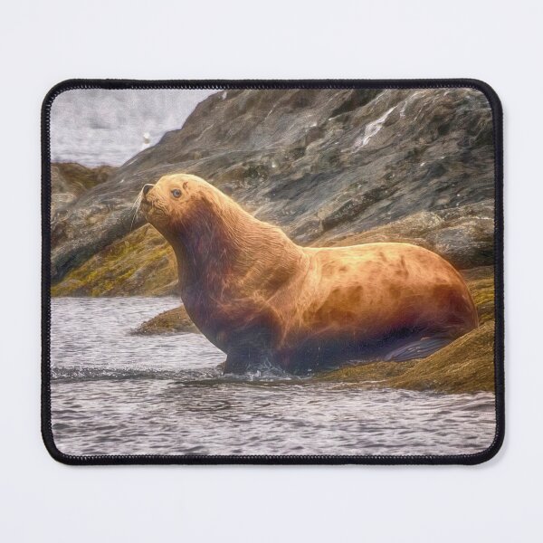 Item preview, Sea Lion in Alaska designed and sold by Kathy Weaver.
