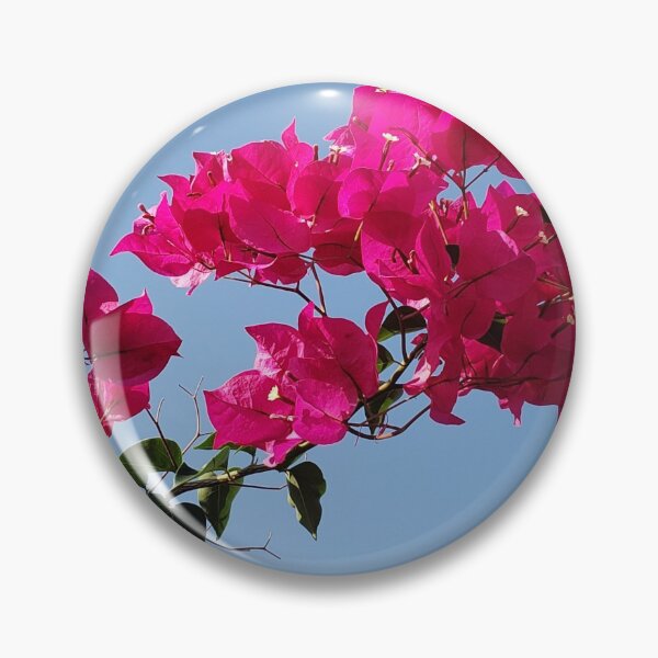Aperçu de l'œuvre Fleurs d'été créée et vendue par CG64.