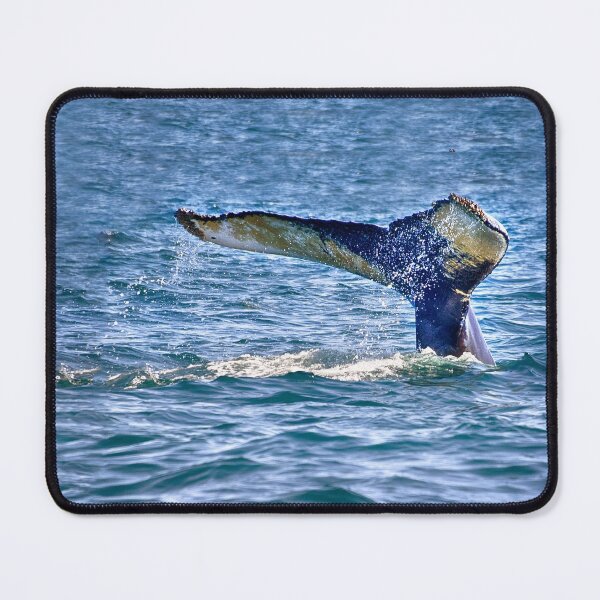 Item preview, The Fluke designed and sold by Kathy Weaver.