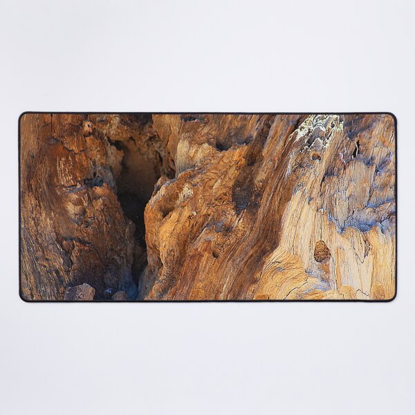 Item preview, Driftwood Detail Weathered Wood Texture designed and sold by Anna Lemos.