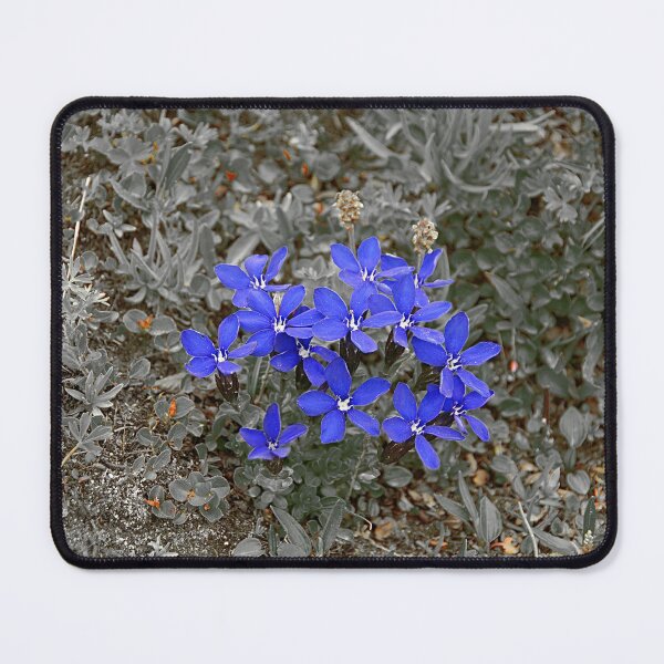 Item preview, Spring Gentian Flowers Flowering Alpine Meadow designed and sold by Anna Lemos.