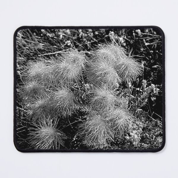 Item preview, Alpine Fluffy Wildflowers Flowers designed and sold by Anna Lemos.
