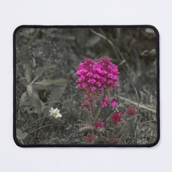 Item preview, Wild Orchid Flower Flowering Alpine Meadow designed and sold by Anna Lemos.