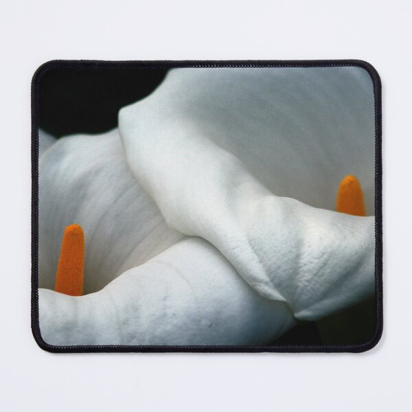 Item preview, Togetherness Two Calla Lily Flowers designed and sold by Anna Lemos.