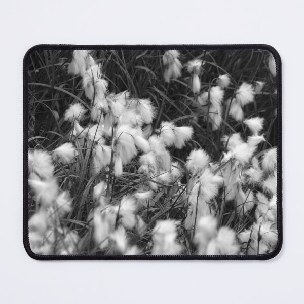 Item preview, Blooming White Cottongrass Alpine Flowers designed and sold by Anna Lemos.