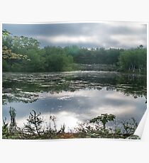 Still Water at Dawn Poster