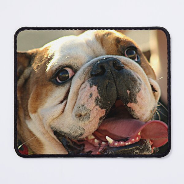 Item preview, Happy Bulldog Dog Portrait designed and sold by Anna Lemos.