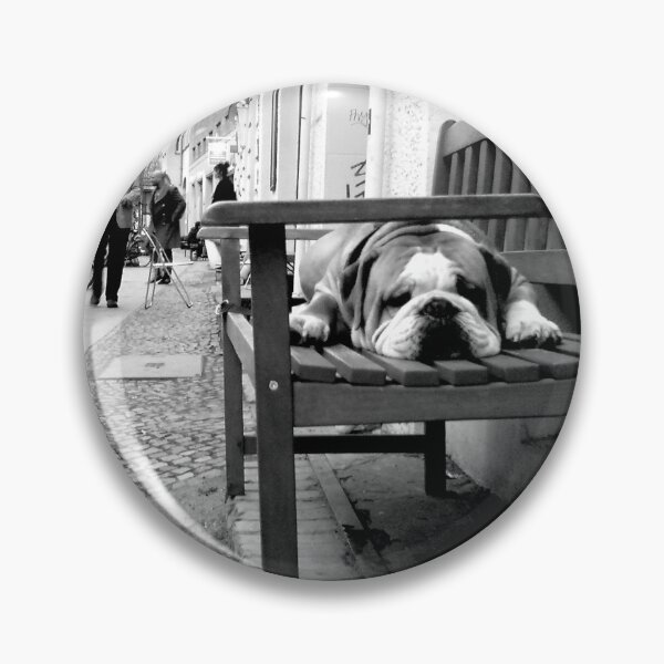 Item preview, Bulldog guards a shop near Hackescher Markt, Berlin designed and sold by CloneDigitalArt.