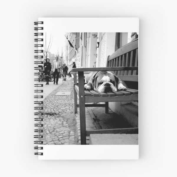 Artikelvorschau, Bulldogge bewacht einen Laden in der Nähe des Hackeschen Marktes, Berlin entworfen und verkauft von CloneDigitalArt.