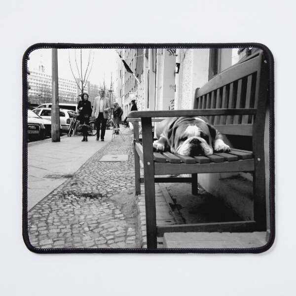 Item preview, Bulldog guards a shop near Hackescher Markt, Berlin designed and sold by CloneDigitalArt.