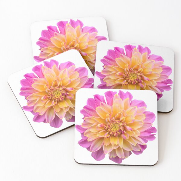 Item preview, Pink Dahlia Flower Bodegón Floral Photography designed and sold by CottoVerdi.