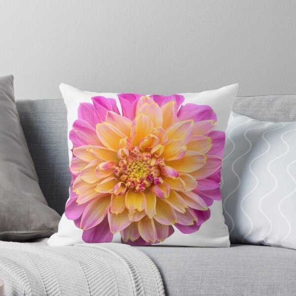 Artikelvorschau, Rosa Dahlie Blumenstillleben Blumenfotografie entworfen und verkauft von CottoVerdi.