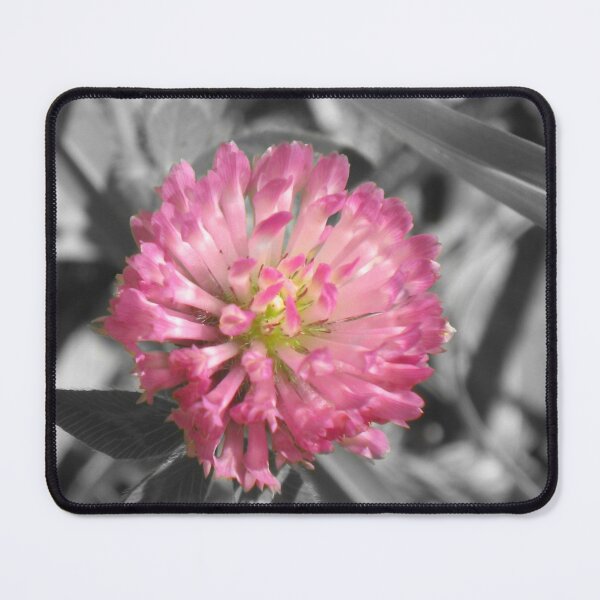 Item preview, Pink Flower designed and sold by SariePhotograph.
