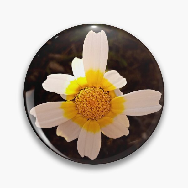 Artikelvorschau, Crown Daisy Flower Closeup entworfen und verkauft von Anna Lemos.