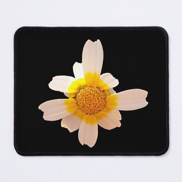 Item preview, Crown Daisy Flower Closeup designed and sold by Anna Lemos.