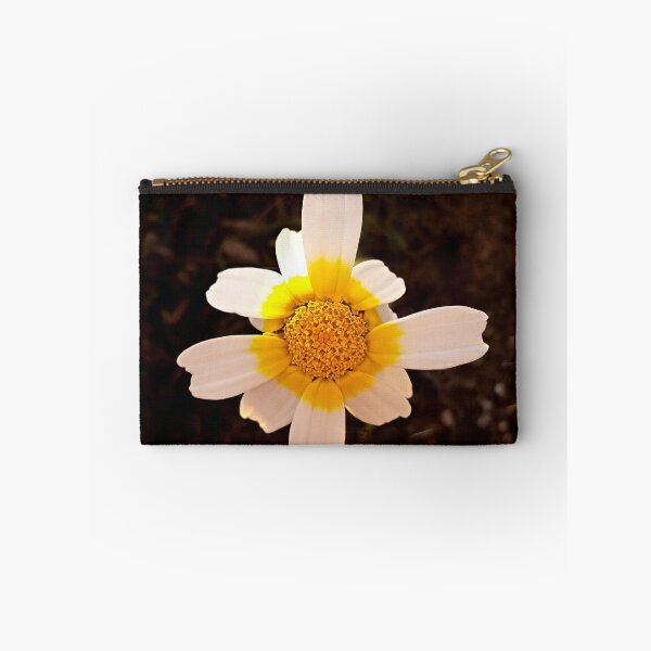 Item preview, Crown Daisy Flower Closeup designed and sold by Anna Lemos.