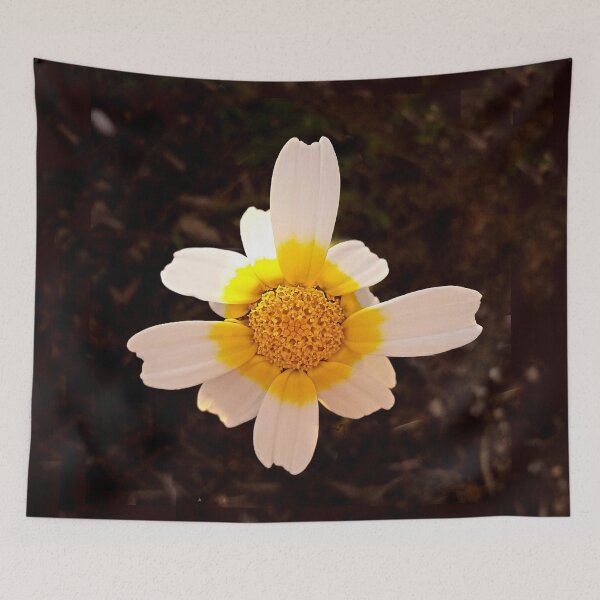 Item preview, Crown Daisy Flower Closeup designed and sold by Anna Lemos.