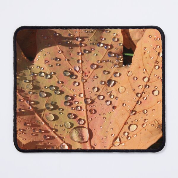 Item preview, Droplets on fallen leaf designed and sold by SariePhotograph.