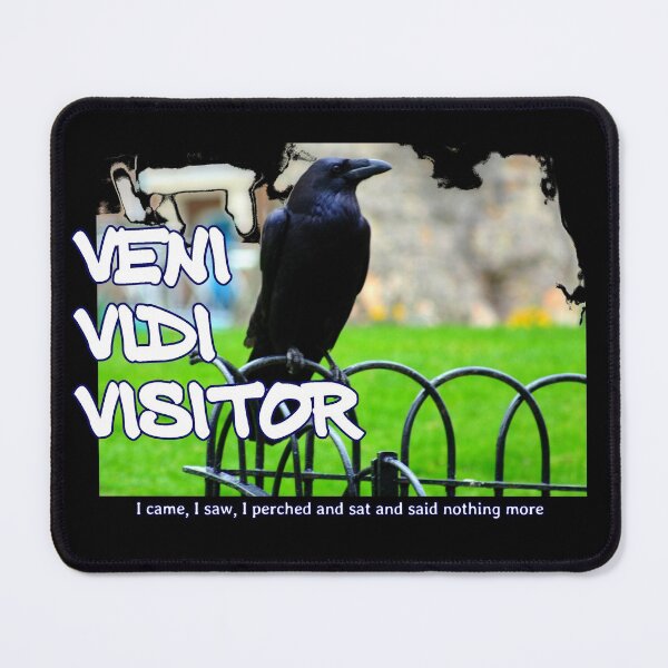Item preview, Veni Vidi Visitor - I came, I saw, I perched and sat and nothing more designed and sold by soitwouldseem.