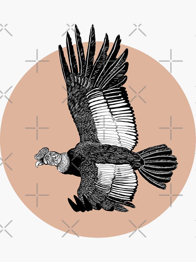 Flying andean condor in a single line art style on Craiyon