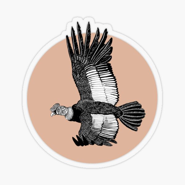 Condor Stickers | Unique Designs | Spreadshirt