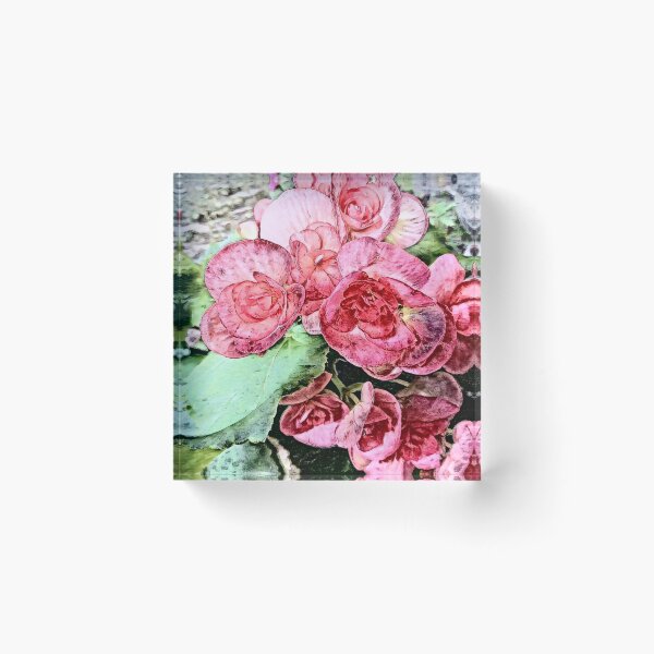 Item preview, My Begonias designed and sold by EloiseArt.