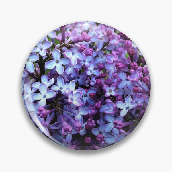 Item preview, Lilacs (from E and J) designed and sold by Scott and Mary Schneider art_photography.