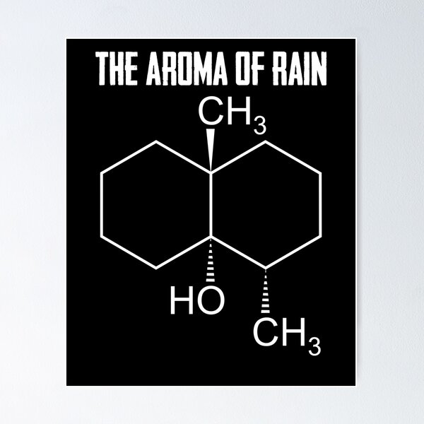 Item preview, The Aroma Of Rain Meteorologist Weatherman Weather Today designed and sold by Nessshirts.