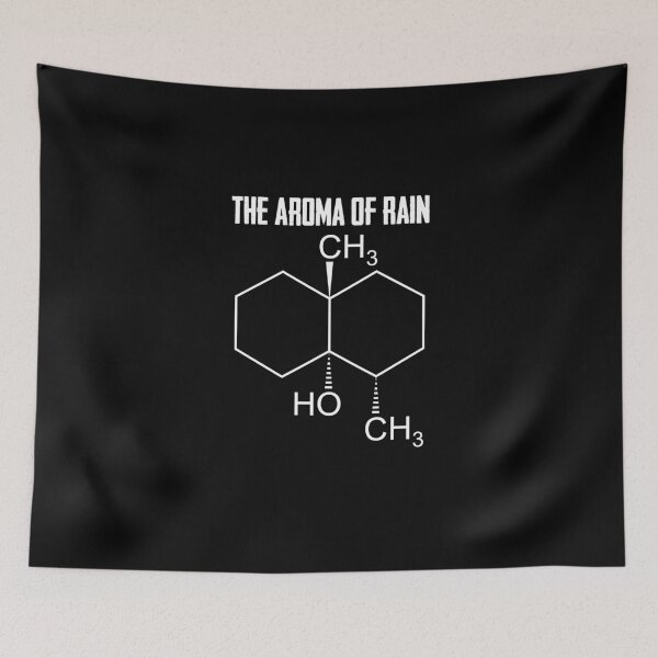 Item preview, The Aroma Of Rain Meteorologist Weatherman Weather Today designed and sold by Nessshirts.