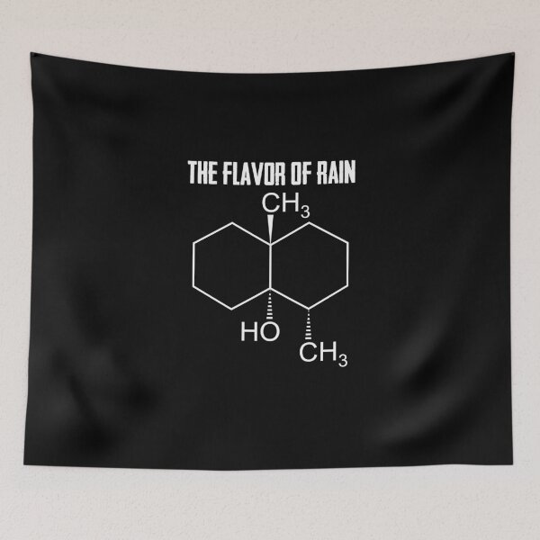 Item preview, The Flavor Of Rain Meteorologist Weather Today Weatherman designed and sold by Nessshirts.