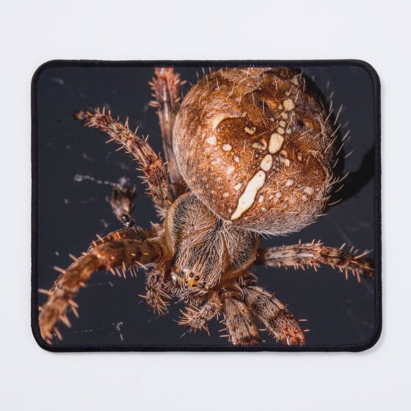 Item preview, Garden orb spider designed and sold by iCimages.net.