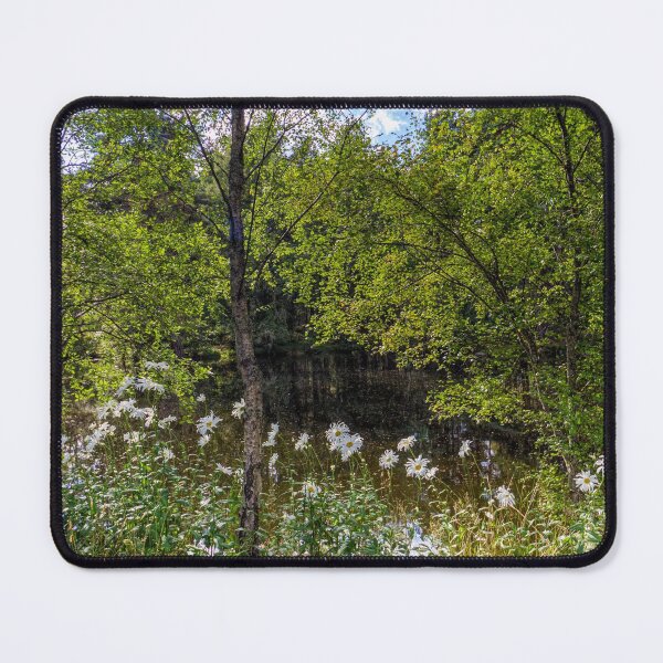 Item preview, Aviemore woodland in the Cairngorms National Park. designed and sold by iCimages.net.