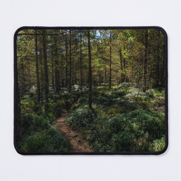Item preview, Aviemore woodland in the Cairngorms National Park. designed and sold by iCimages.net.