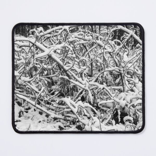Item preview, Snow on dormant twigs and leaves designed and sold by iCimages.net.