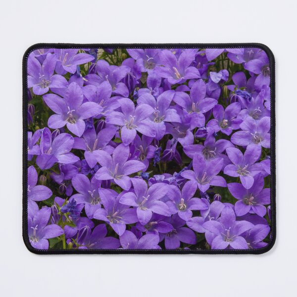 Item preview, Bellflower designed and sold by iCimages.net.