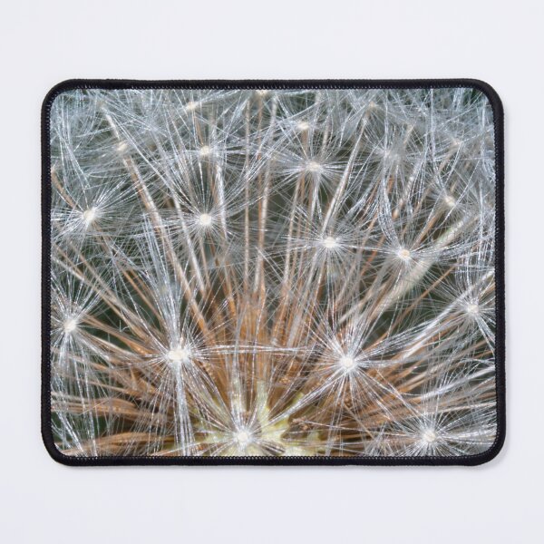 Item preview, Dandelion head designed and sold by iCimages.net.