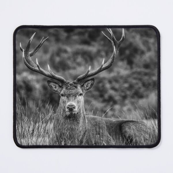 Item preview, Magnificent Stag designed and sold by iCimages.net.