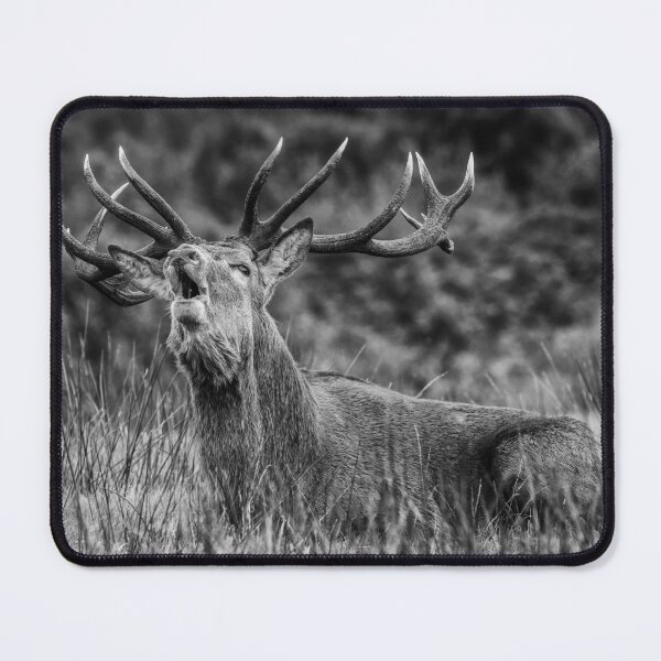Item preview, Bellowing Stag designed and sold by iCimages.net.