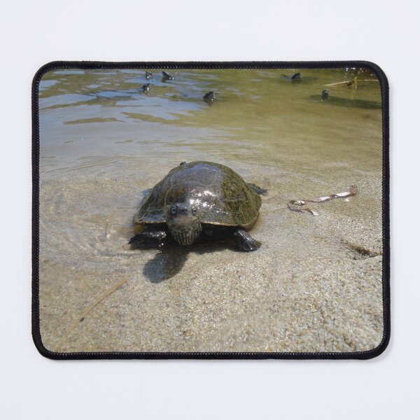 Item preview, Water Turtles Photography Ikaria Island Greece designed and sold by SoccaTamam.