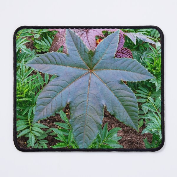 Item preview, Green leaf designed and sold by iCimages.net.