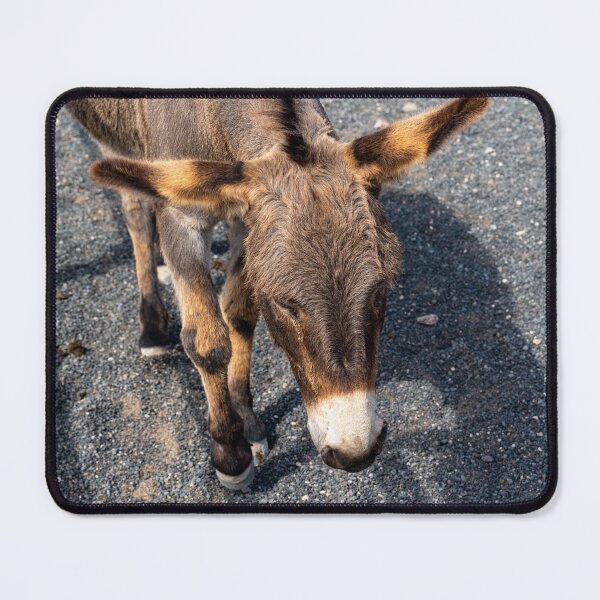 Item preview, Donkey designed and sold by iCimages.net.