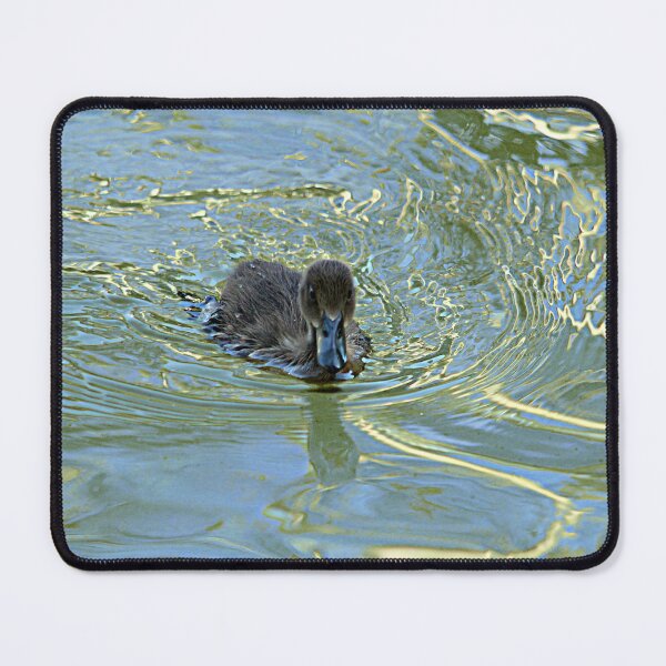 Item preview, Little Black Duckling Swimming designed and sold by Anna Lemos.