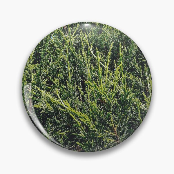 Item preview, Pine tree print designed and sold by rkaidesigns.
