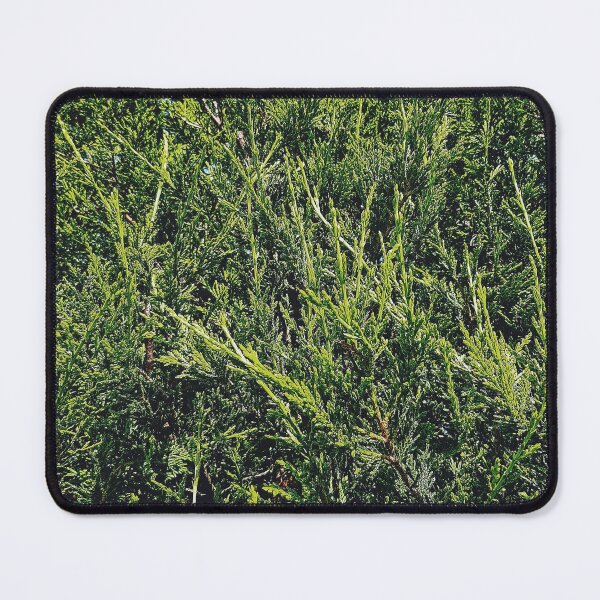 Item preview, Pine tree print designed and sold by rkaidesigns.