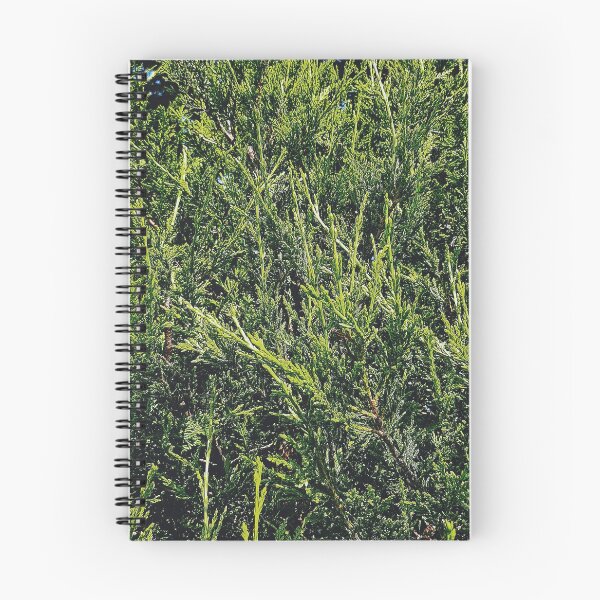 Item preview, Pine tree print designed and sold by rkaidesigns.