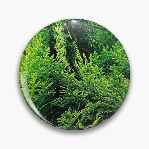 Item preview, Conifer leaves designed and sold by rkaidesigns.