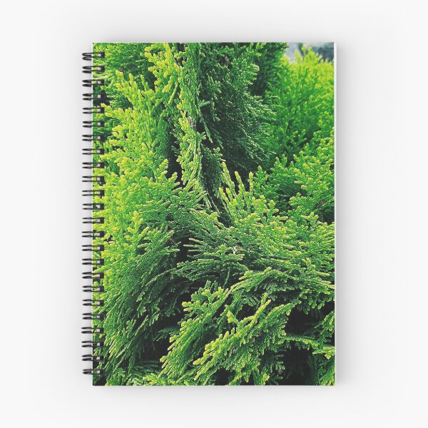 Item preview, Conifer leaves designed and sold by rkaidesigns.