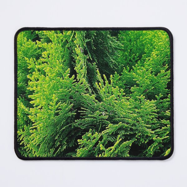 Item preview, Conifer leaves designed and sold by rkaidesigns.