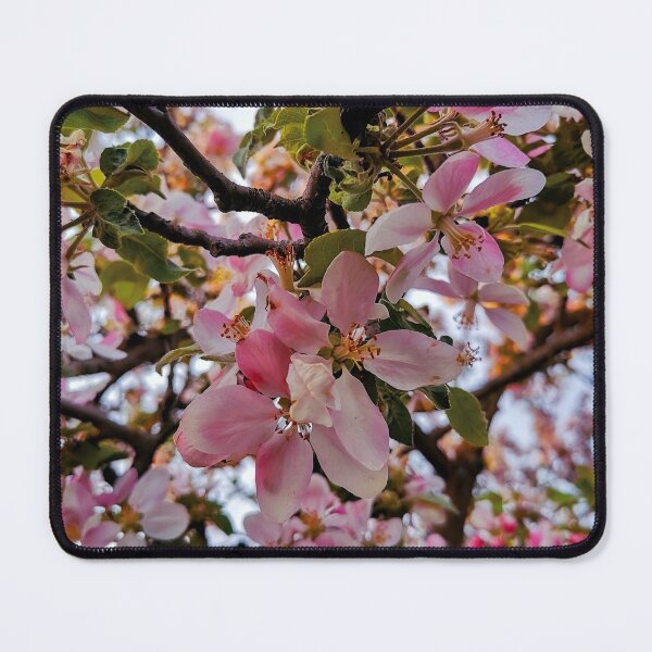 Item preview, Pink flowers blooming designed and sold by EvelinePatterns.
