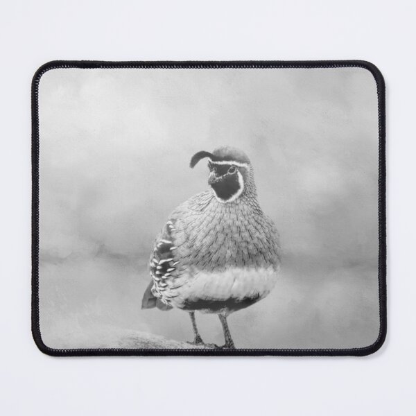 Item preview, Beautiful Male Gambel's Quail BW designed and sold by Elisabeth Lucas.